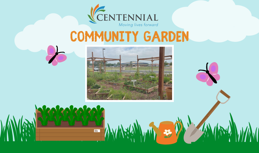 Graphic with blue sky background and orange text that says, "Community Garden" with an image of Centennial's Fort Morgan Community Garden Below and animated graphics of a planter box, watering can and shovel.