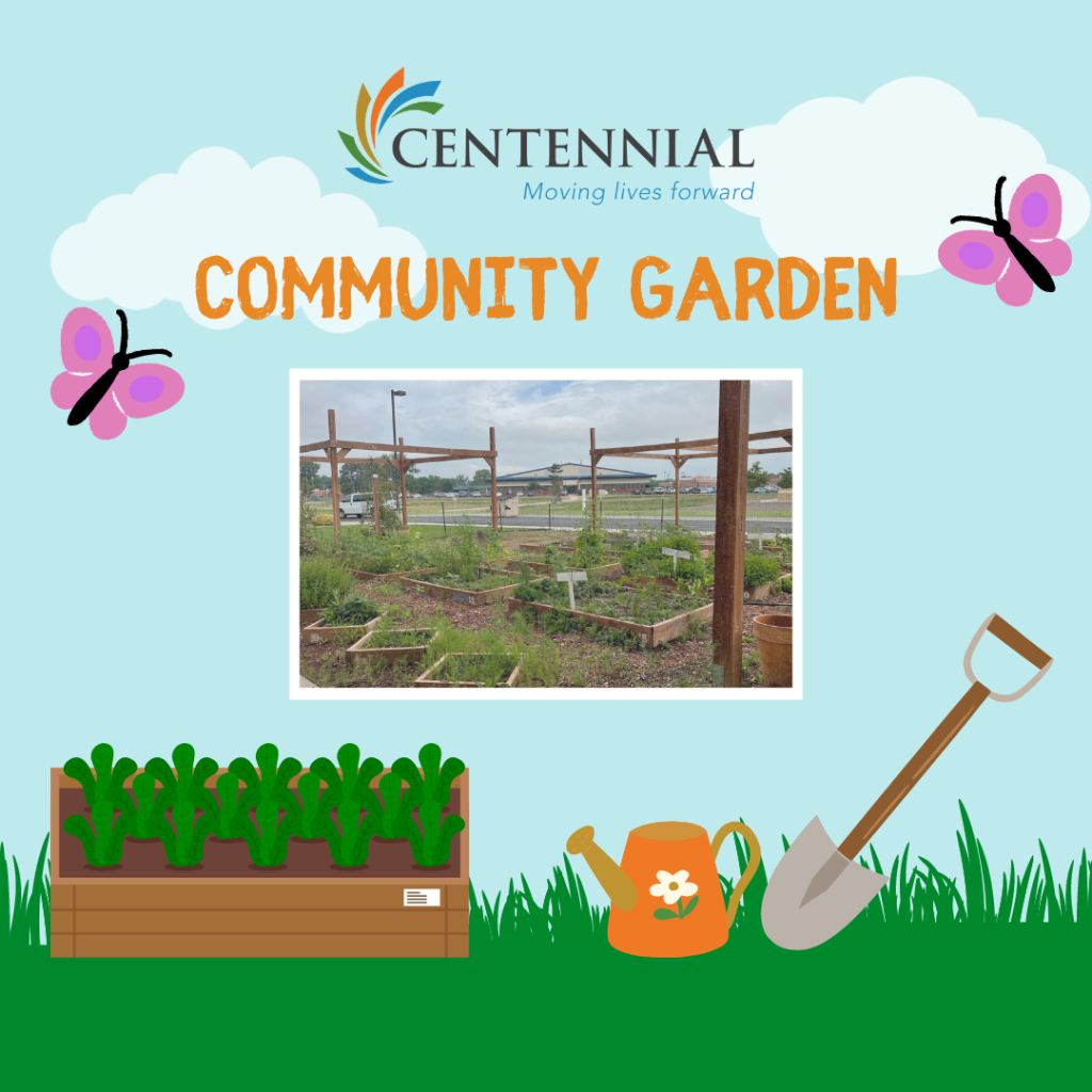 Graphic with blue sky background and orange text that says, "Community Garden" with an image of Centennial's Fort Morgan Community Garden Below and animated graphics of a planter box, watering can and shovel.